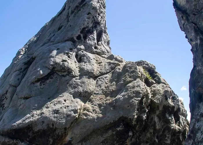 Waldliebe アパート *